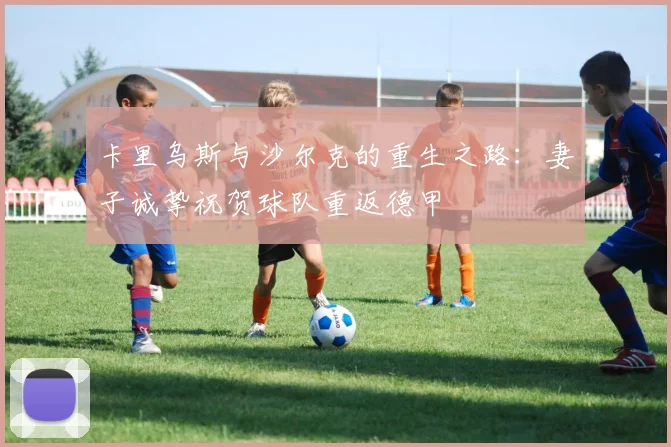卡里乌斯与沙尔克的重生之路:妻子诚挚祝贺球队重返德甲